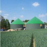 Свекловичный жом стал сырьем для производства биогаза
