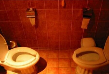 Два унитаза в одном туалете