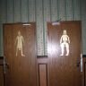 Дверь туалета с рисунками голых мужчины и женщины